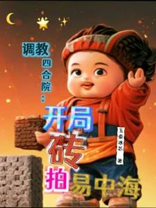 Start to adjust the Siheyuan from Brickpai Yizhonghai
